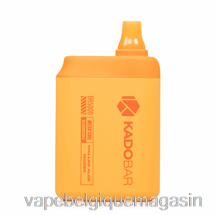 Vape Belgique Kado Bar Br5000 Jetable Réfrigéré Aloe Mangue